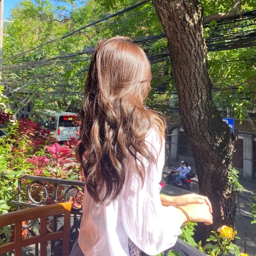 龟女士的奥德赛